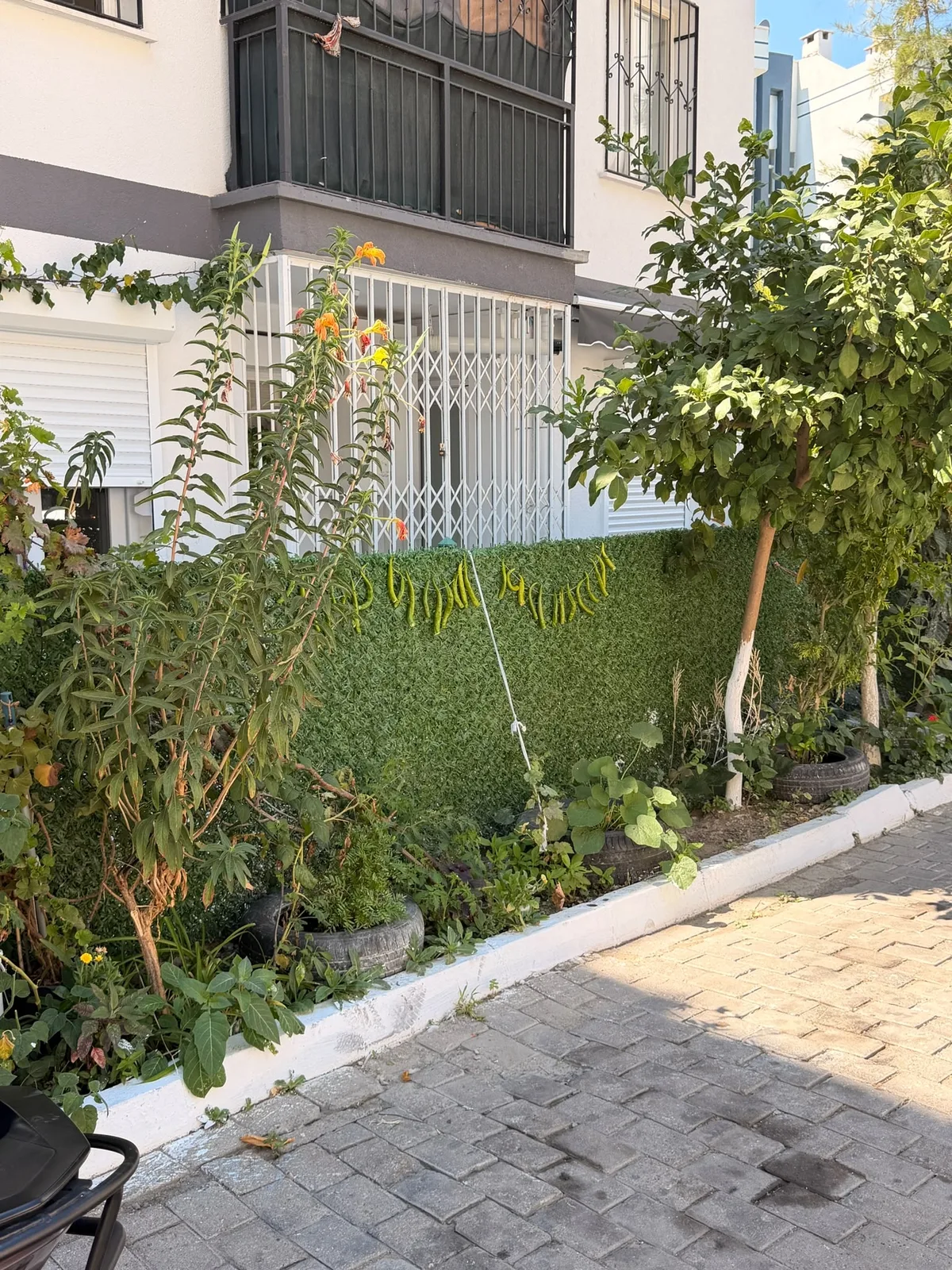 KUŞADASI KADINLAR DENİZİ DOĞALGAZLI FULL EŞYALI 9 AYLIK KİRALIK