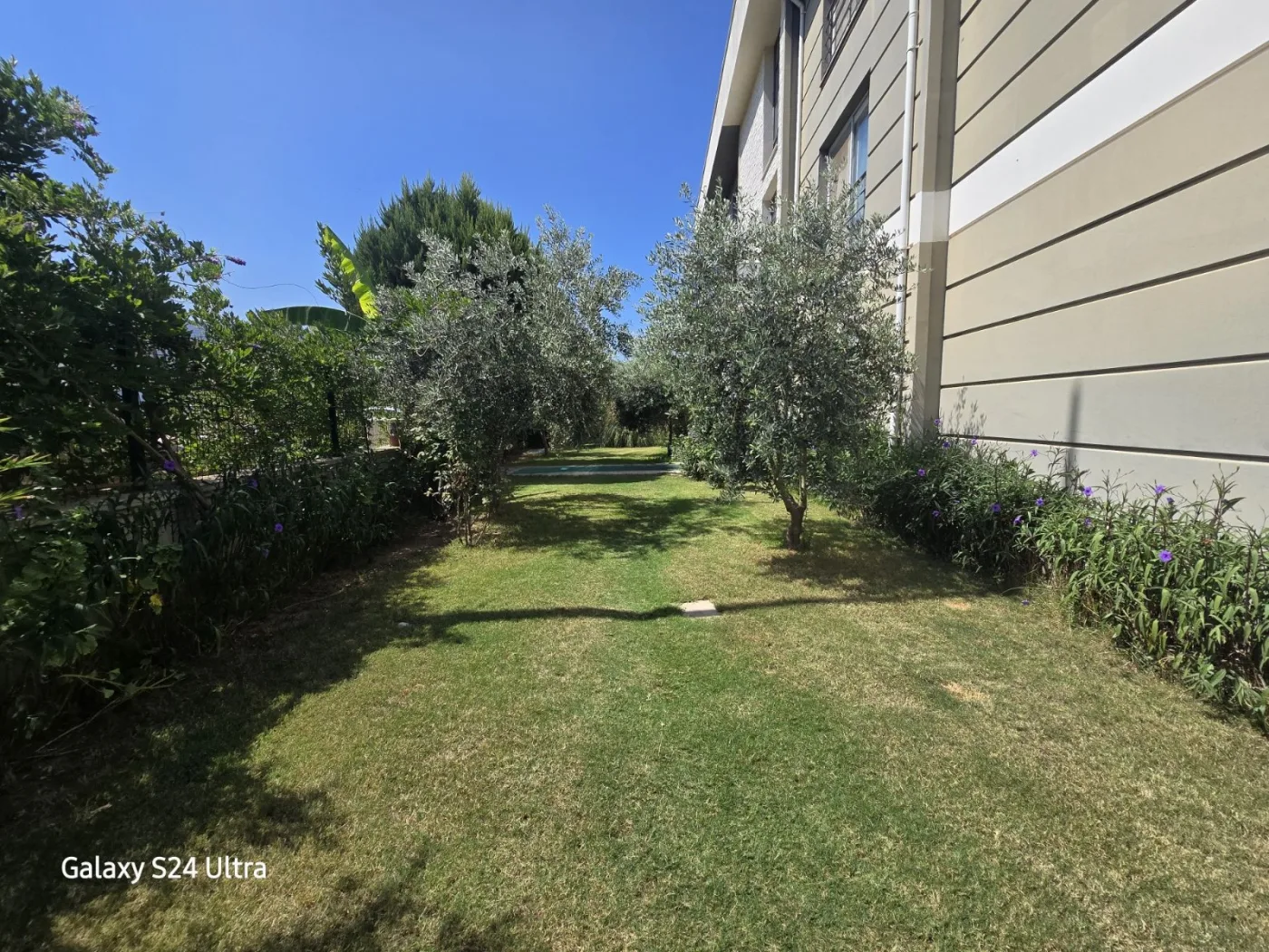 KUŞADASI DAVUTLARDA HAVUZLU KİRALIK 1+1DAİRE