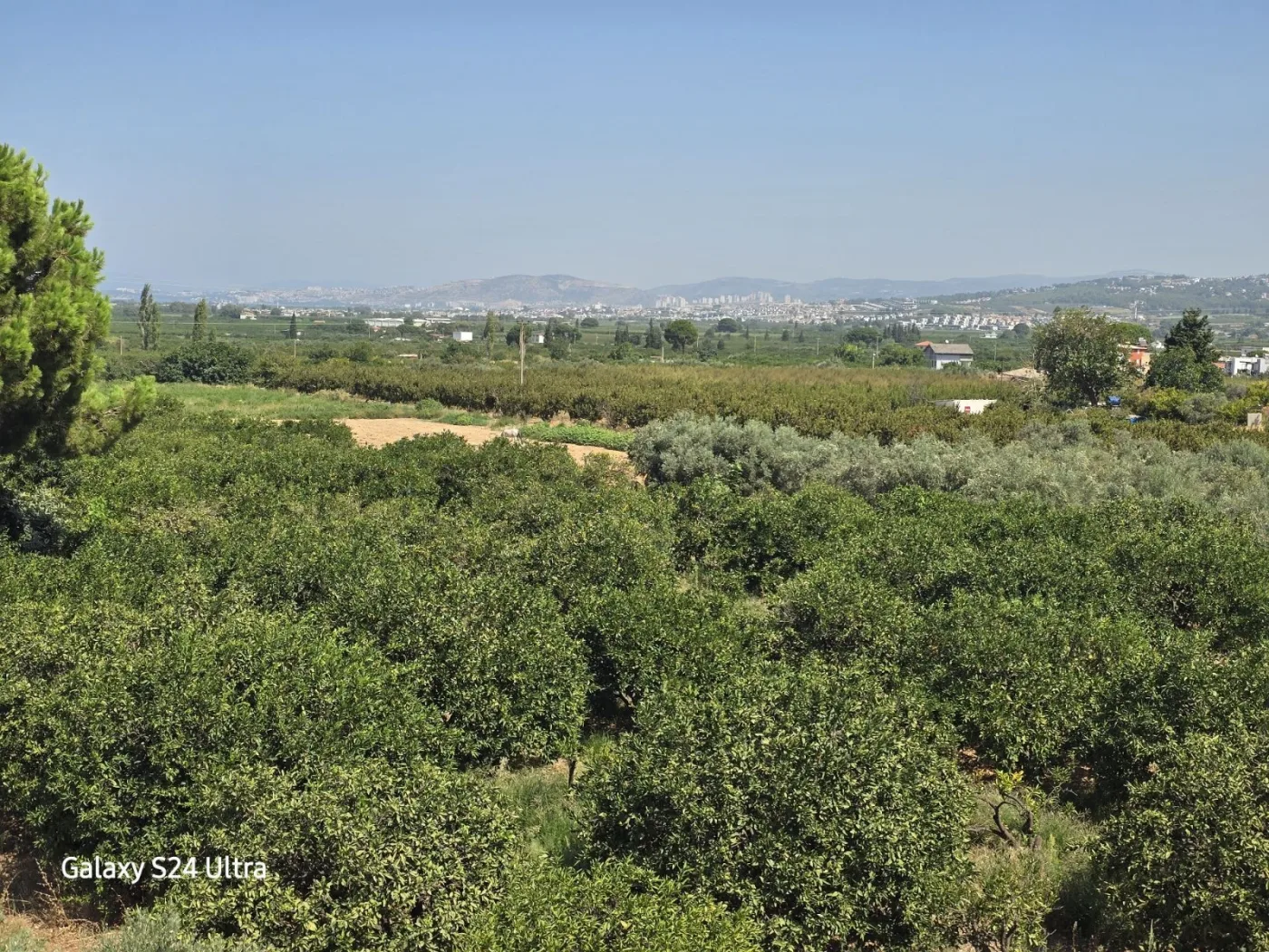 KUŞADASI DAVUTLARDA HAVUZLU KİRALIK 1+1DAİRE