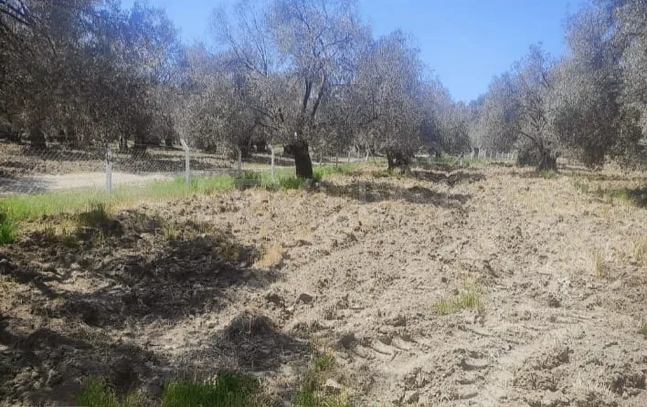 BALIKESİR AYVALIKTA MURATELİ MAH FUL DENİZ MANZARALI SATILIK ARSA